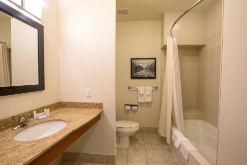 圣约翰斯圣约翰纽芬兰万怡酒店的一间带水槽、卫生间和淋浴的浴室