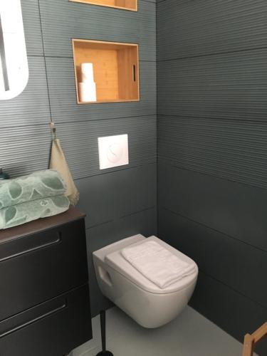 安格雷COSY ROOM PRIVATE BATH AND GARDEN的一间带卫生间、水槽和镜子的浴室