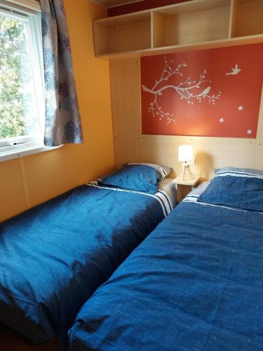 卢米奥LAVATOGGIO的带窗户的客房内的2张蓝色的床