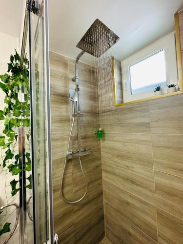 锡比乌Luxor Apartament Sibiu的浴室内配有淋浴和头顶淋浴