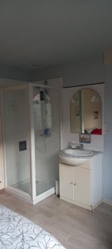 沙托丹La Dunoise的一间带水槽和镜子的浴室