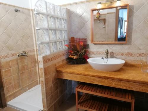 马佐Casa Amagante, en Hoyo de Mazo的一间带水槽和淋浴的浴室