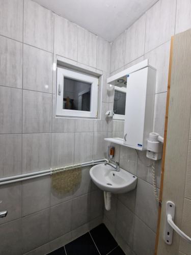 弗拉西纳里德Vila Vlasina的一间带水槽和镜子的浴室