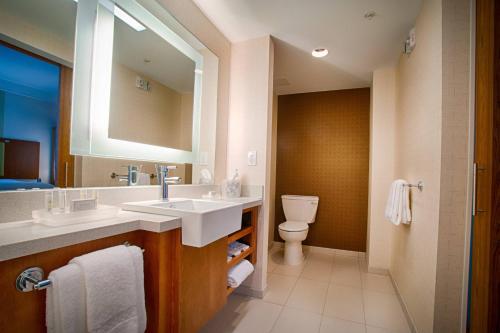 北坎顿万豪坎顿普林希尔套房酒店的一间带水槽、卫生间和镜子的浴室