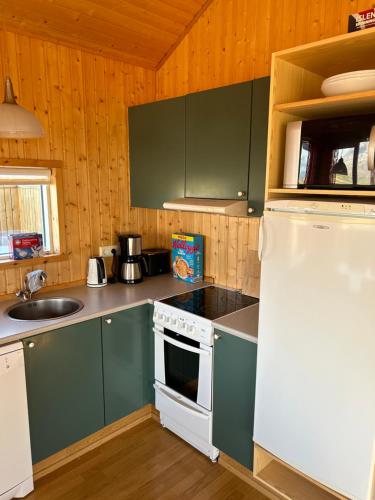 瓦玛里德Víðilundur 17的厨房配有绿色橱柜和白色冰箱