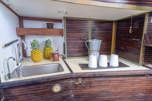 El PorvenirSan Blas Sailing Experience With Us!的厨房柜台设有水槽和2个 ⁇ 萝