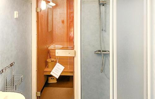 TranstrandCozy Apartment In Transtrand With Sauna的带淋浴、盥洗盆和卫生间的浴室
