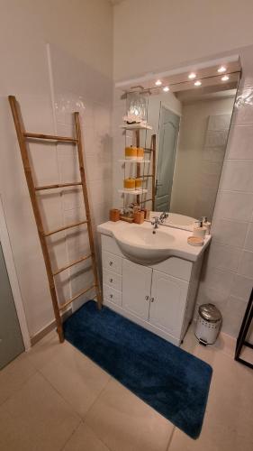 Rivière-PiloteLa Visite Tropicale的一间带水槽和镜子的浴室