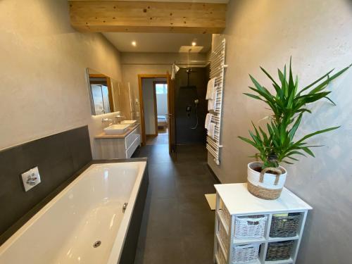 基茨比厄尔Apartments Golfweg的带浴缸和盆栽的浴室