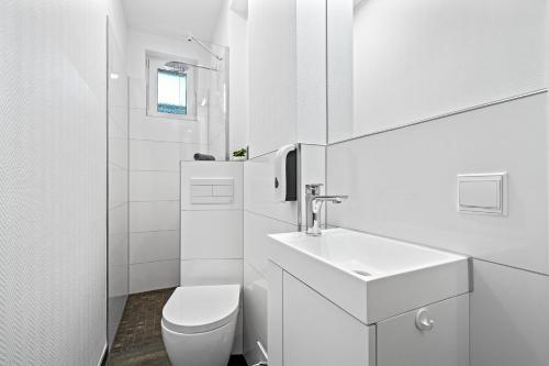 腓特烈港Villa Dana Bodensee的白色的浴室设有卫生间和水槽。