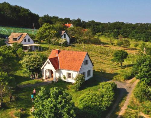 MencshelyKiskacsa Dörgicse的享有白色房子的空中景色,设有橙色屋顶