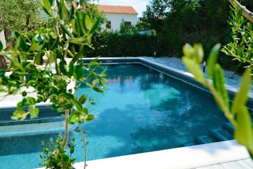 MravinceMore Than Holiday Home的庭院里的一个蓝色海水游泳池