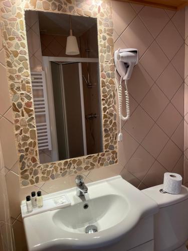 卢瓦尔河畔新堡Hôtel La Capitainerie的一间带水槽和镜子的浴室