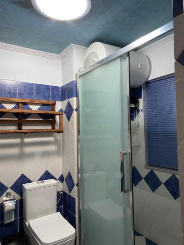 吉诺卡斯特Yuri Guest House的一间带卫生间和玻璃淋浴间的浴室