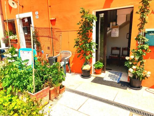 佩斯基耶拉德加达ZANINA COUNTRY HOUSE的一座种植了许多盆栽植物的橙色建筑