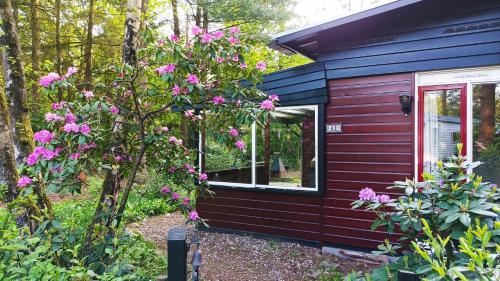 宁斯佩特Bosbungalow de Eekhoorn的红色的房子,有窗户和粉红色的花