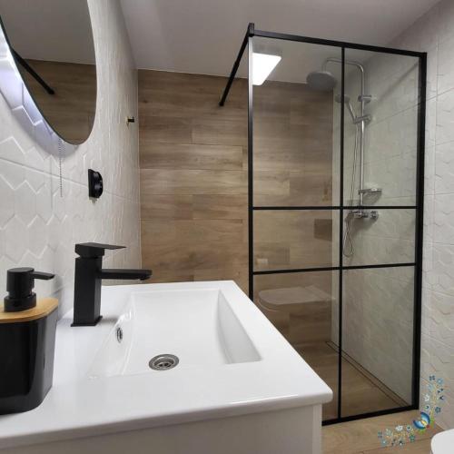 GowidlinoStudio 4-osobowe的一间带水槽和玻璃淋浴的浴室