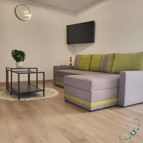 GowidlinoStudio 4-osobowe的带沙发和电视的客厅