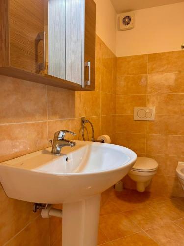 韦尔巴尼亚TRA MONTI E LAGO的一间带水槽和卫生间的浴室