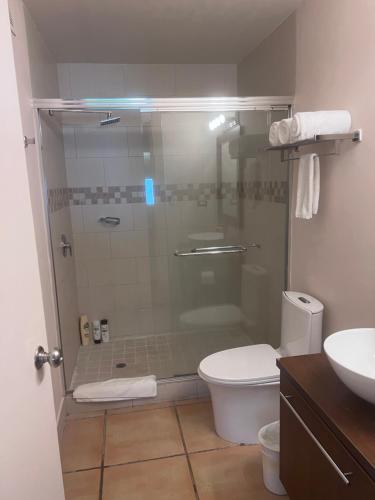 查梅Aurora Luxury Suite con acceso a la playa的带淋浴、卫生间和盥洗盆的浴室