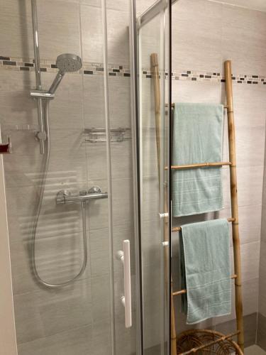 穆然Tournamy Les Olivier的浴室设有玻璃淋浴间和蓝色毛巾