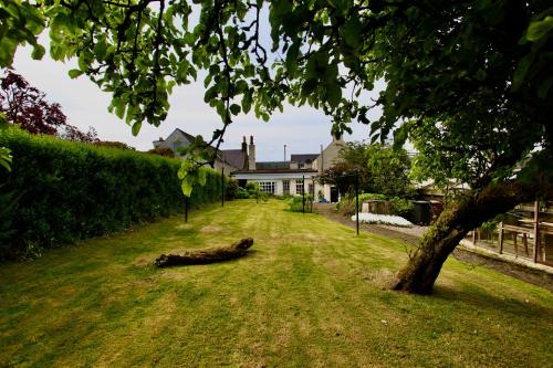 BuchlyvieCosy country cottage in Central Scotland的树躺在房子前面的草上