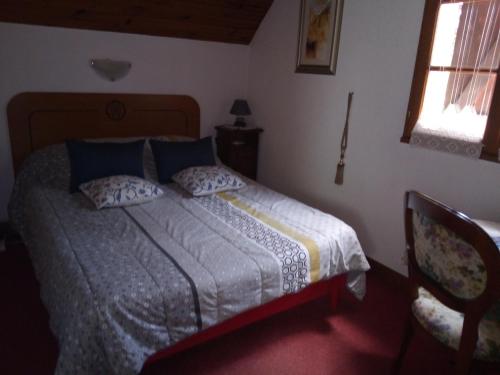 Hauxchambre chez sylvie的一间卧室配有一张带蓝色枕头的床和一扇窗户。