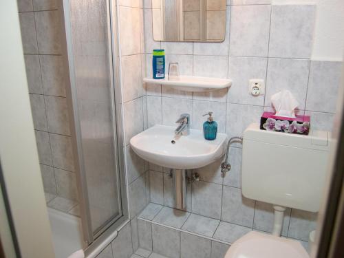 不莱梅希尔曼广场1号酒店的浴室配有卫生间、盥洗盆和淋浴。
