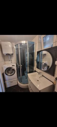 奥米什LaPlaza的一间带水槽和洗衣机的浴室