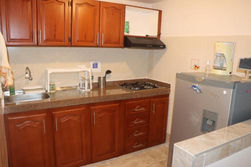 比亚维森西奥Panorama的厨房配有木制橱柜和冰箱。