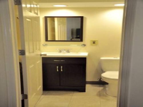 菲什基尔乡村汽车旅馆的一间带水槽、卫生间和镜子的浴室