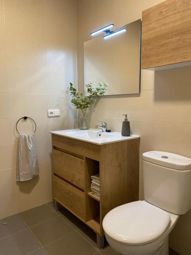奥利特Habitación en casa de Mikel的一间带卫生间、水槽和镜子的浴室