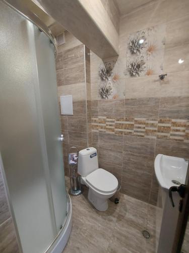 帕扎尔吉克Elegant Complex的一间带卫生间和水槽的浴室