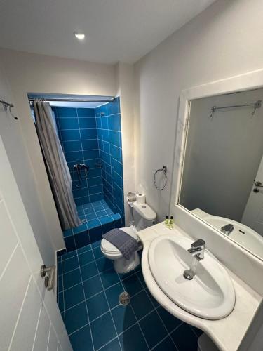 费拉罗莎别墅酒店的一间带水槽、淋浴和卫生间的浴室
