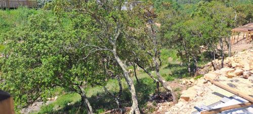 RocbaronChez Nat的享有山坡的树木和岩石的景色
