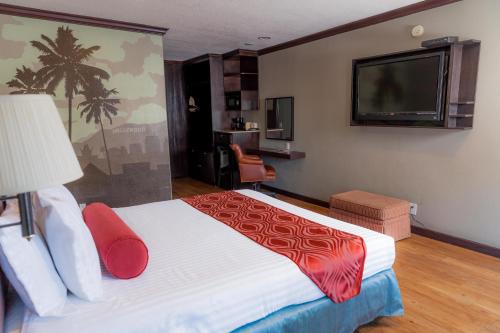 洛杉矶迪克西好莱坞酒店的配有一张床和一台平面电视的酒店客房