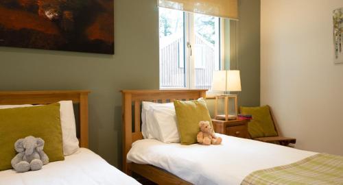 卡布里奇Salmon Run Lodge的卧室内两张睡床上摆放着两只泰迪熊