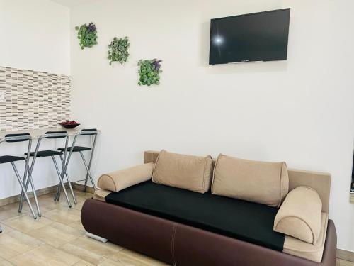 豪伊杜索博斯洛Attila Studio Apartments的带沙发和电视的客厅