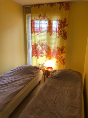 坦佩雷Upea kohde Näsijärven rannassa的一间卧室配有一张床和一扇带灯的窗户