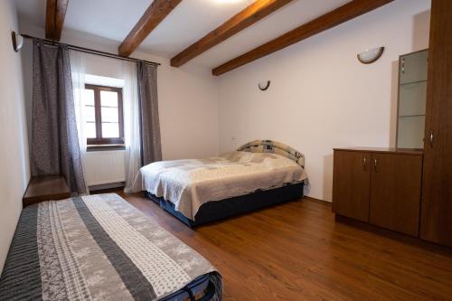 兹诺伊莫Apartments 3 in the historic part of Znojmo的一间卧室设有两张床和窗户。