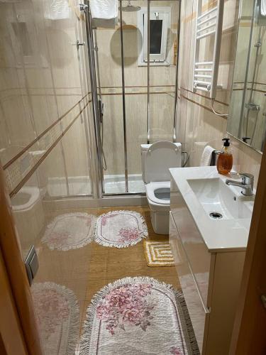 巴塞罗那Cozy Flat的带淋浴、卫生间和盥洗盆的浴室