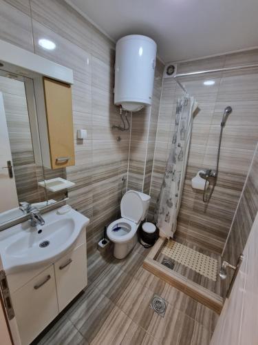 索科矿泉村Apartman Sokobanja的一间带水槽、卫生间和淋浴的浴室