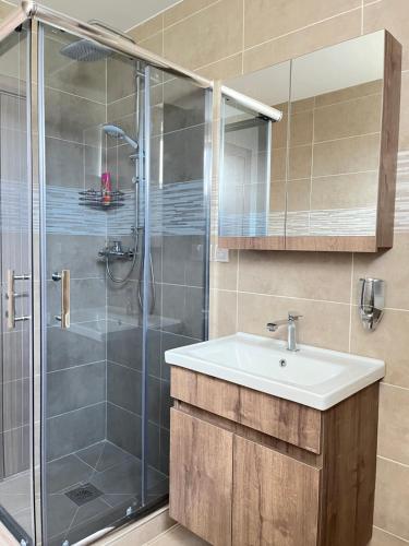 LedineSurčin Apartment的一间带水槽和淋浴的浴室