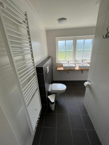 东卡佩勒Hèt Koetshuis的一间带两个盥洗盆、卫生间和窗户的浴室