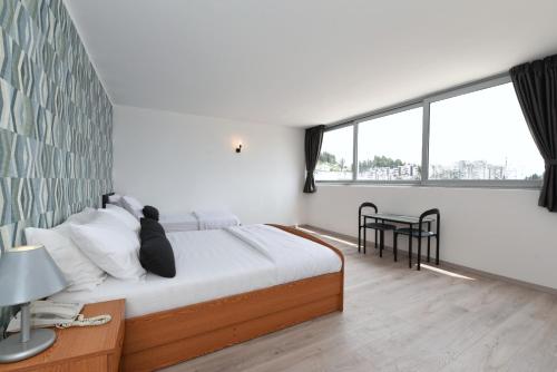 普洛切Hotel Tolero的一间卧室设有一张床和一个大窗户