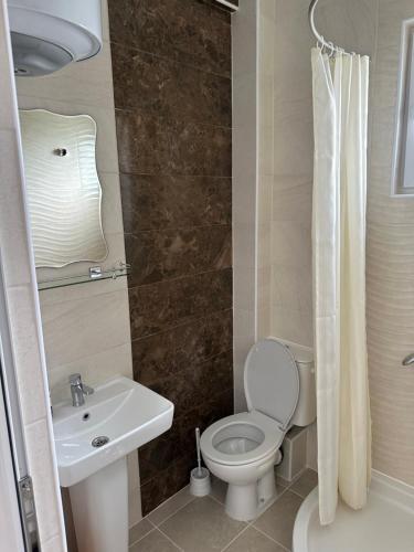 乌尔齐尼Apartments Flamida的一间带卫生间和水槽的浴室