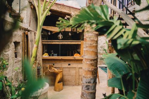 阿拉恰特Suare Alaçatı的植物间里带柜台的厨房