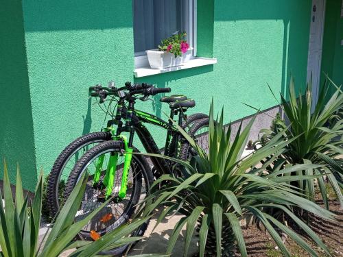 ČaglinRuralna kuća za odmor Viktorija的两辆自行车停在绿色植物建筑旁边
