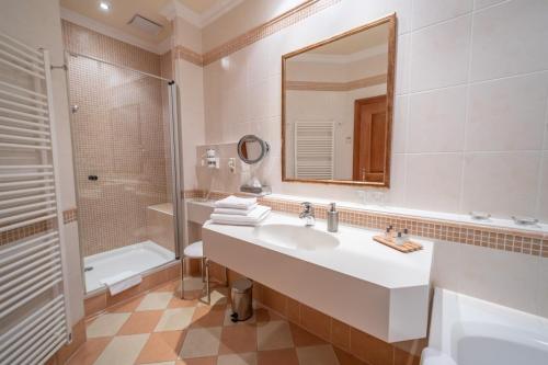 波伊斯多夫Genießerhof Haimer - Hotel Garni的一间带水槽、淋浴和镜子的浴室