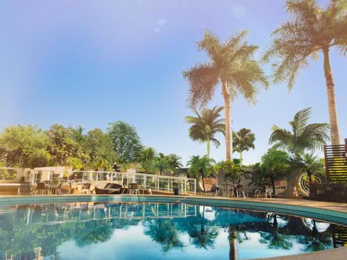 伊瓜苏Continental Inn的一座棕榈树环绕的游泳池